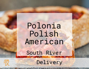 Polonia Polish American