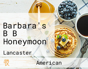 Barbara's B B Honeymoon