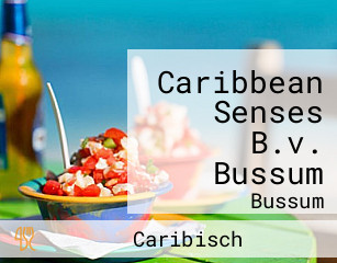 Caribbean Senses B.v. Bussum