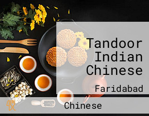 Tandoor Indian Chinese