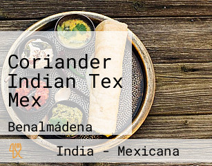 Coriander Indian Tex Mex