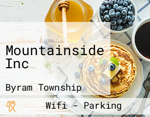 Mountainside Inc