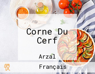 Corne Du Cerf