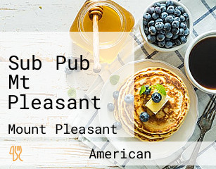 Sub Pub Mt Pleasant