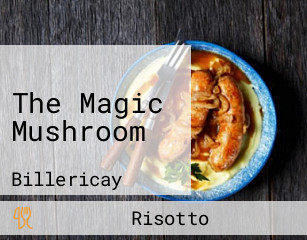 The Magic Mushroom