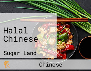 Halal Chinese