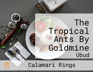 The Tropical Ants By Goldmine