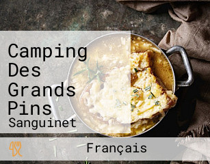 Camping Des Grands Pins