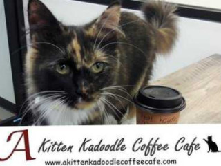 A Kitten Kadoodle Coffee Cafe