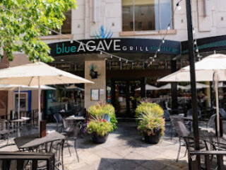 Blue Agave Grill - Denver