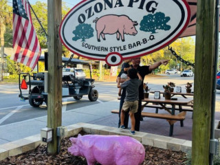 The Ozona Pig