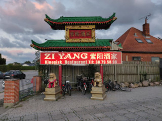 Zi Yang