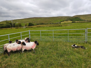 Glen Keen Farm Visitor Centre