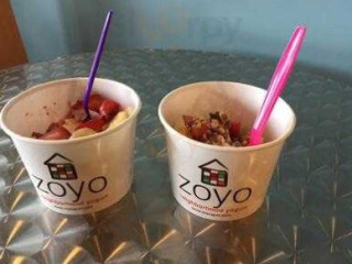 Zoyo Frozen Yogurt Troy