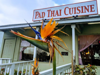Pad Thai Cuisine