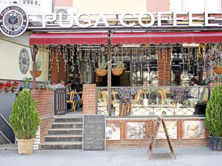 Puga Coffee