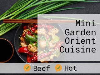 Mini Garden Orient Cuisine