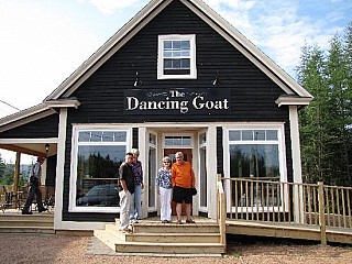 Dancing Goat