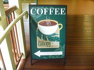 Skyrail canopy cafe