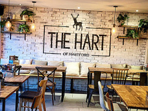 The Hart Of Hartford