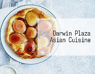 Darwin Plaza Asian Cuisine