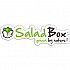 Salad Box VIVO