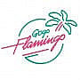 Le Gogo Flamingo