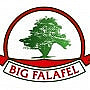 Big Falafel