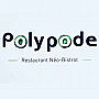 Polypode