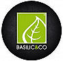 Basilic Co Beziers (riquet)
