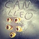 Can Lleo