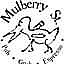 Mulberry St Pub, Grub Espresso
