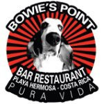 Bowie's Point