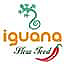 Iguana Bar Restaurant