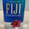 Fiji Water (16.9oz)