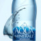Agua Bottle