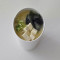 Miso Soup (New Recipe (Vg (S
