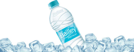 Bailley Premium Water (500Ml)