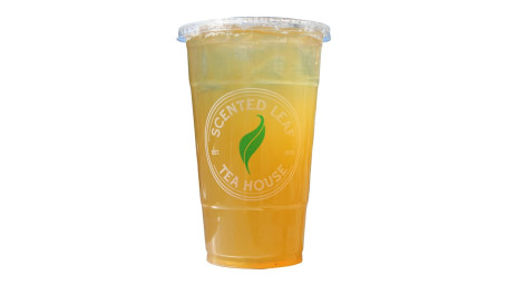 Freshly Steeped Iced