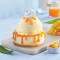 Vanilla Ice Cream With Mango Sauce Cheesecake Sundae