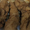 Chicken Tenders (9 oz)