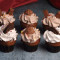 Assorted Cupcakes Pack Of Six