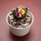 Vanilla Oreo Biscuit Ice Cream