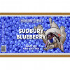Sudbury Blueberry