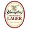 5. Traditional Lager