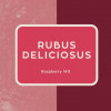 Rubus Deliciosus Raspberry Wit