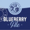 15. Blueberry Ale