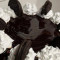 8 Frozen Yogurt Cake Chocolate Vanilla