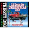 12 Dogs Of Christmas Ale