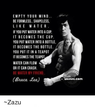 Bruce'a Lee